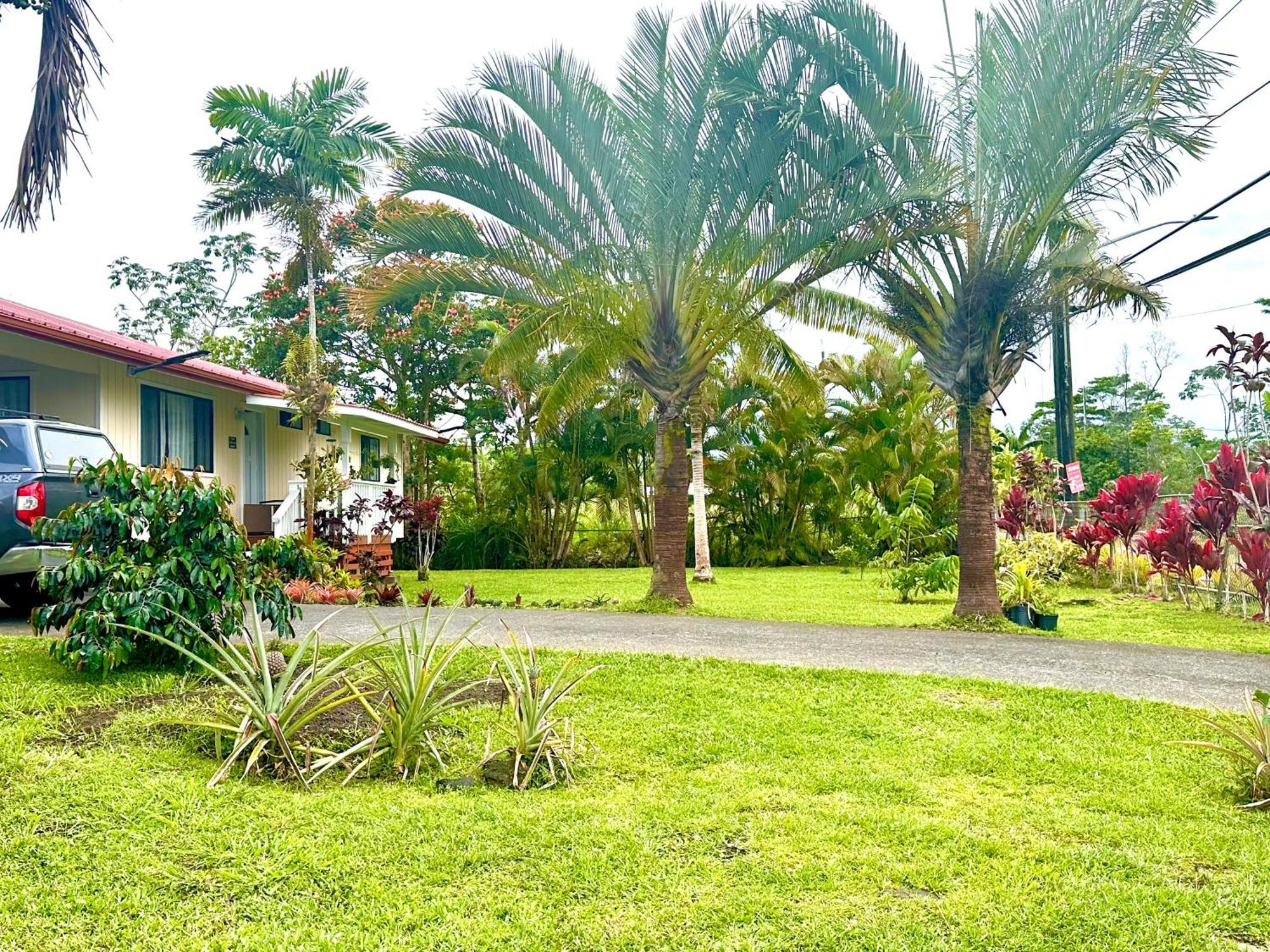 Appartement Big Island Getaway à Pahoa Extérieur photo